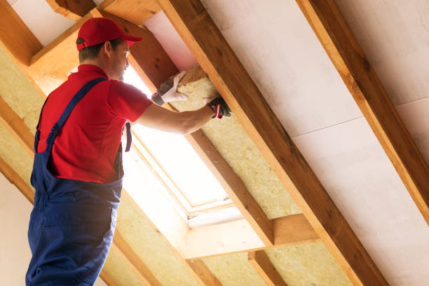  , USA Insulation Services Pros